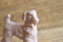 Pink Porcelain Dog